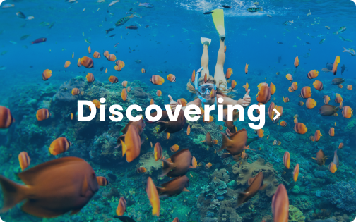 discovering-inspire Discover Your Next Destination Content
