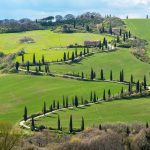 traveling-to-toscana-in-autumn
