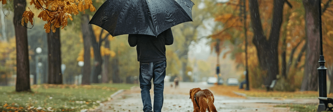 El impacto del clima otoñal en la planificación de viajes