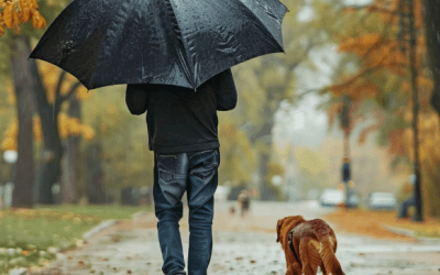 El impacto del clima otoñal en la planificación de viajes