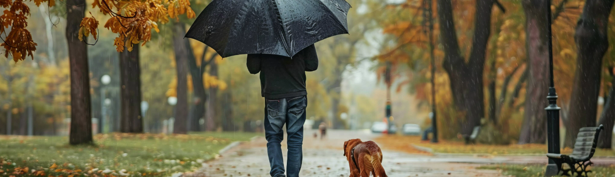 impact-of-fall-weather-traveling