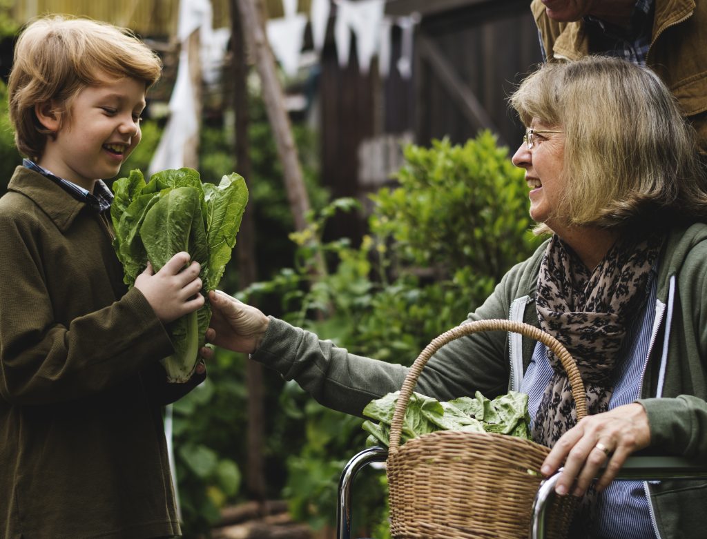 senior-couple-with-boy-planting-vegetables-garden-backyard-scaled.jpg