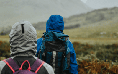Regenerative Tourism: When Travel Helps Improve a Destination